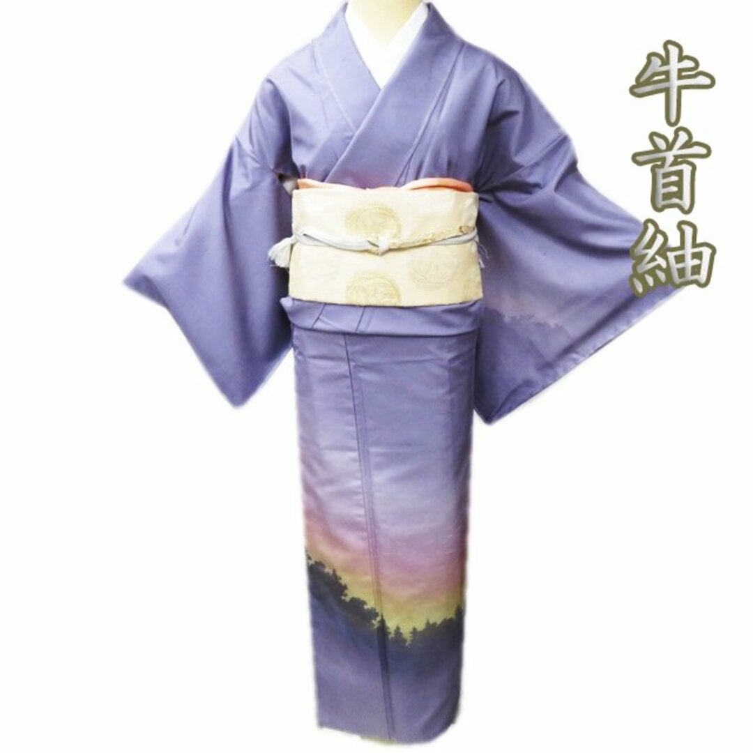 特選 牛首紬 着物 未使用 袷 セミフォーマル 白山工房 訪問着 風景