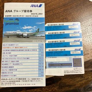 エーエヌエー(ゼンニッポンクウユ)(ANA(全日本空輸))のANA株主優待券4枚(航空券)