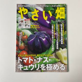 やさい畑 2023年 06月号(その他)