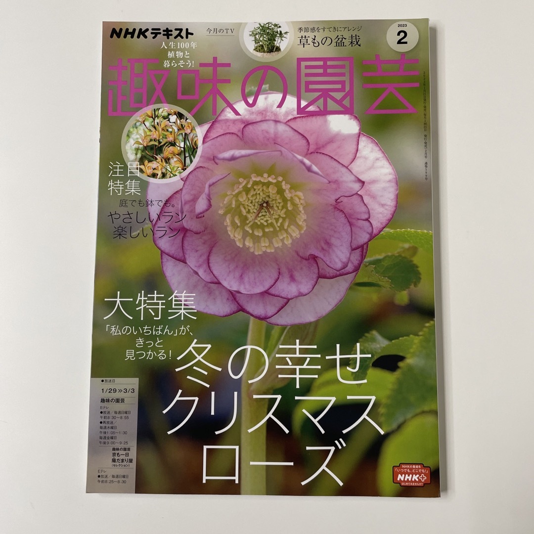 NHK 趣味の園芸 2023年 02月号 エンタメ/ホビーの雑誌(その他)の商品写真