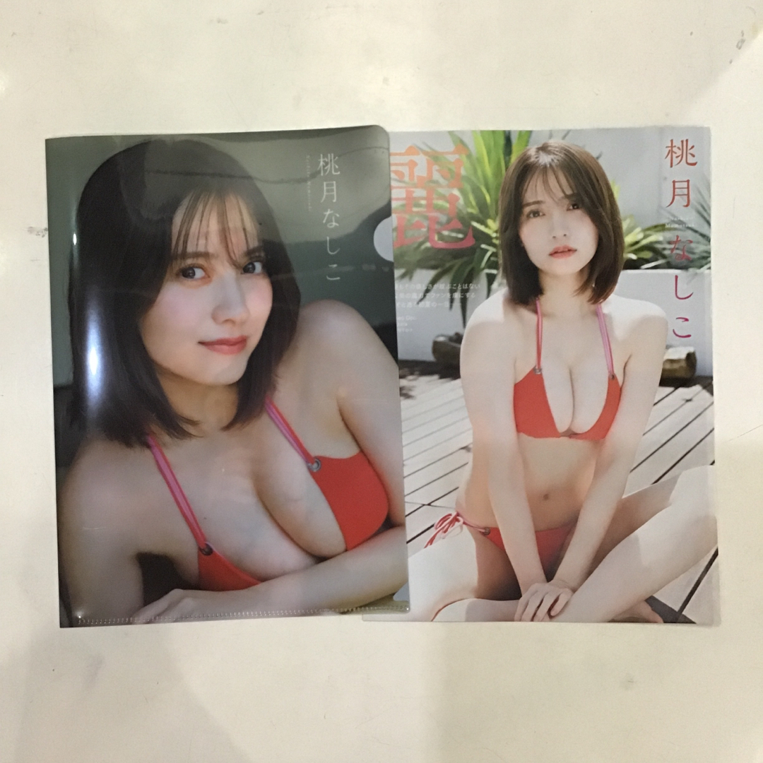 桃月なしこ　アクション付録 エンタメ/ホビーのタレントグッズ(アイドルグッズ)の商品写真