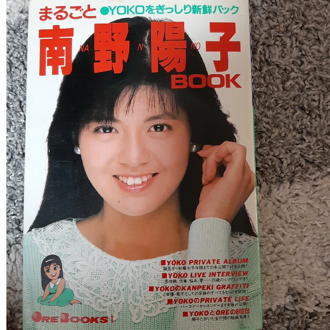 南野陽子さん写真集など３冊セット エンタメ/ホビーの本(アート/エンタメ)の商品写真