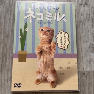 ネコが見るDVD　ネコミル DVD(舞台/ミュージカル)
