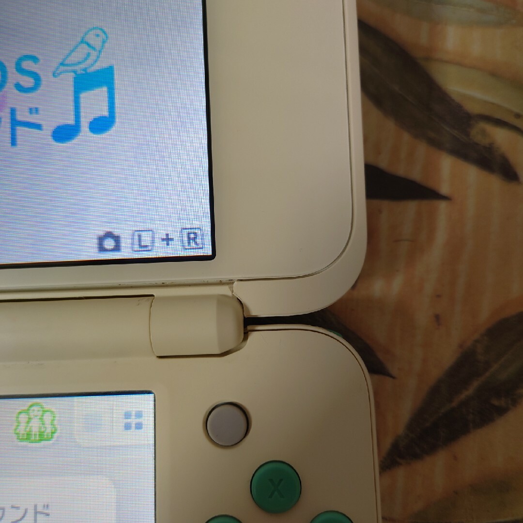 ニンテンドー2DS - Newニンテンドー2DS LL とびだせ どうぶつの森