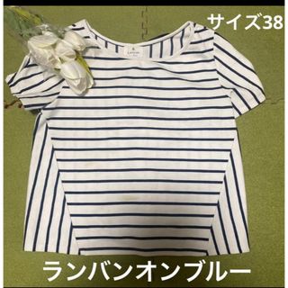 ランバンオンブルー(LANVIN en Bleu)の５日限定！最終価格！春先に！ランバンオンブルー！素敵な後ろリボン！カットソー(カットソー(半袖/袖なし))