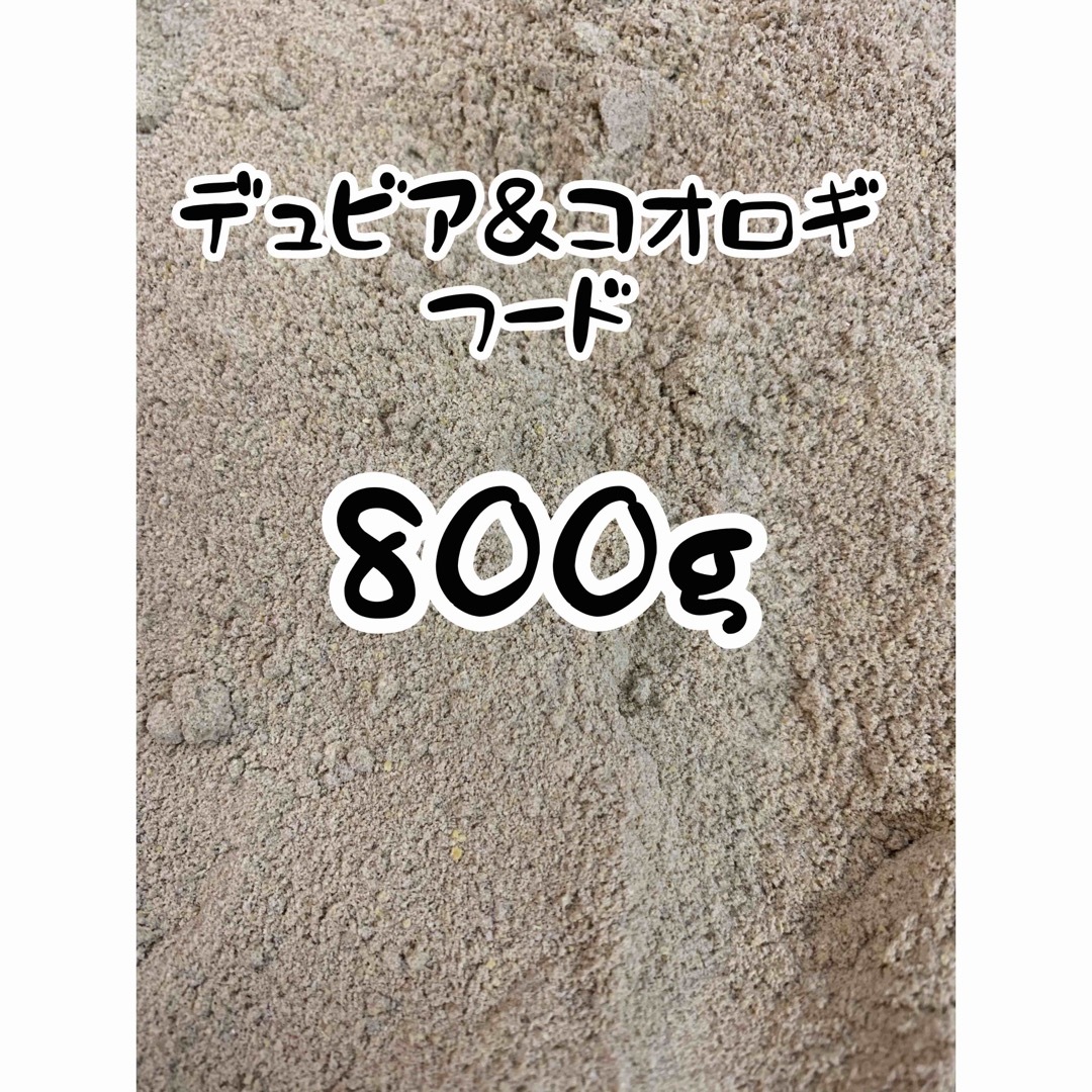 ☆送料無料☆デュビア＆コオロギのごはん☆800g☆ その他のペット用品(爬虫類/両生類用品)の商品写真