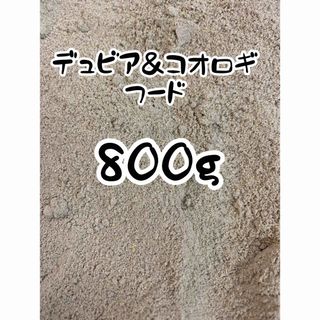 ☆送料無料☆デュビア＆コオロギのごはん☆800g☆(爬虫類/両生類用品)