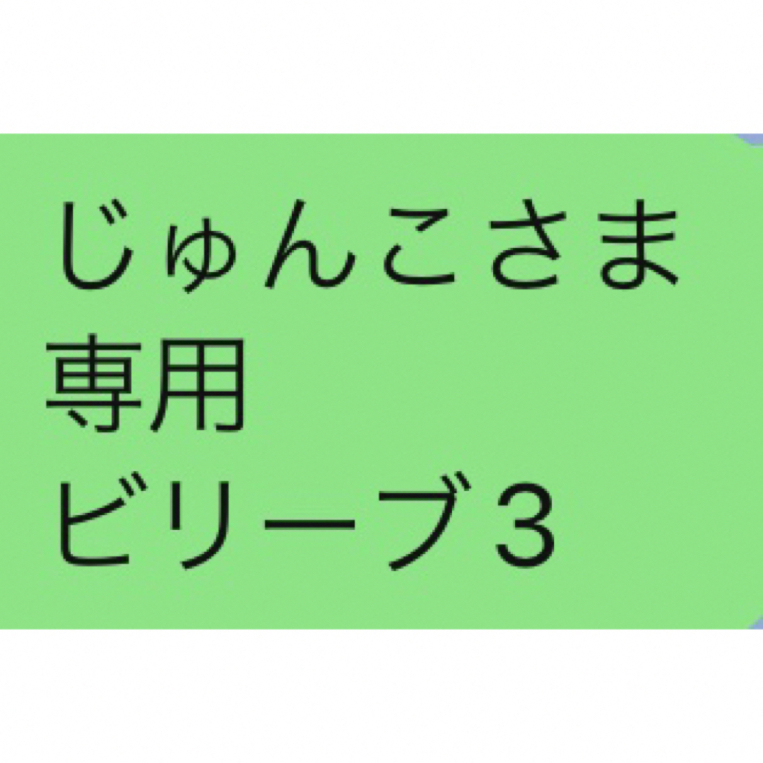 じゅんこさま 専用 ビリーブ3