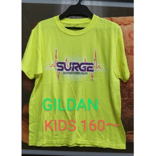 ギルタン(GILDAN)のGILDAN Surge Adventure Park Tシャツ(Tシャツ/カットソー)
