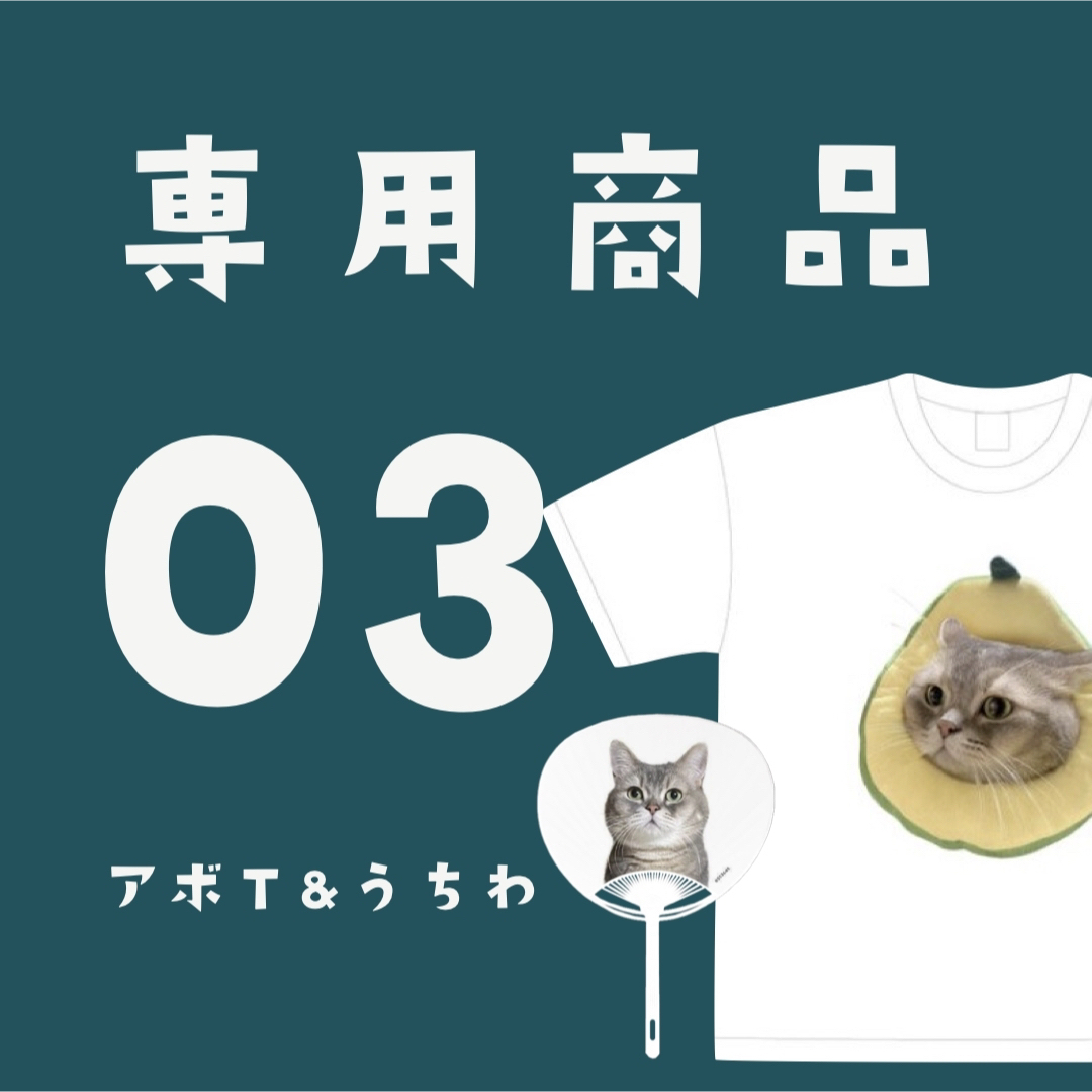 アボT HIさん レディースのトップス(Tシャツ(半袖/袖なし))の商品写真