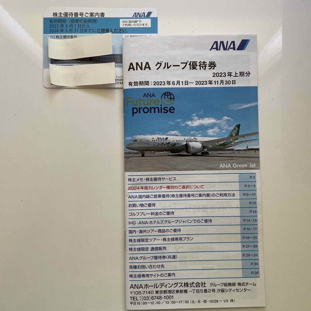 ANA(全日本空輸)(エーエヌエー(ゼンニッポンクウユ))の全日本空輸株主優待券➕ANAグループ優待券 チケットの乗車券/交通券(航空券)の商品写真