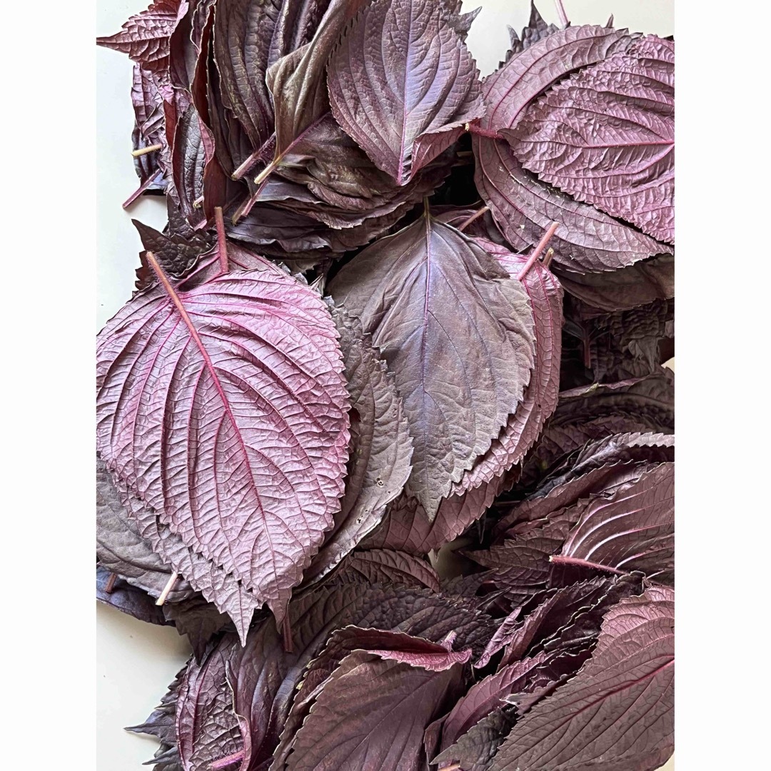 赤紫蘇の葉　300g 食品/飲料/酒の食品(野菜)の商品写真