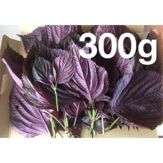赤紫蘇の葉　300g(野菜)