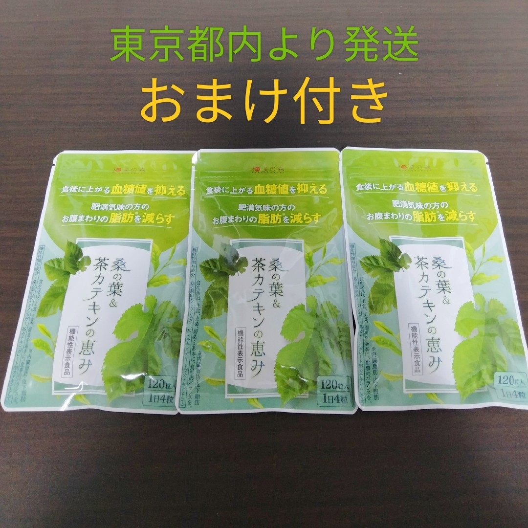 和漢の森　桑の葉 茶カテキン 120粒 国産お腹の脂肪を減らす ×3袋