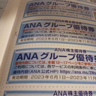 エーエヌエー(ゼンニッポンクウユ)(ANA(全日本空輸))のANAグループ各社･提携ホテル優待券6枚 20%割引 2023年11月30日まで(宿泊券)