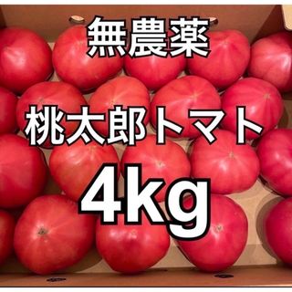 無農薬　栽培　桃太郎トマト　4kg  B品(野菜)
