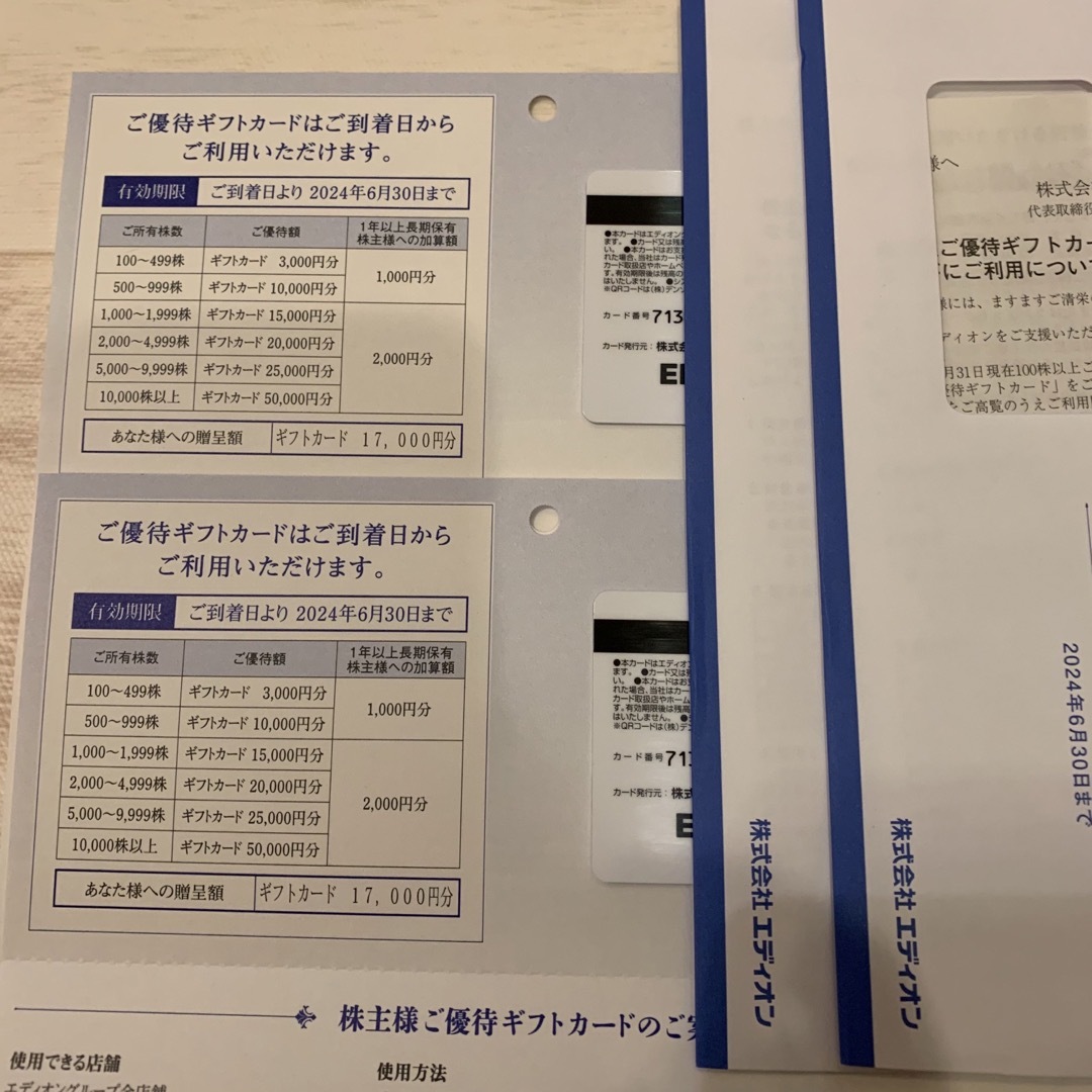 エディオン 株主優待カード 34000円分 | gualterhelicopteros.com.br