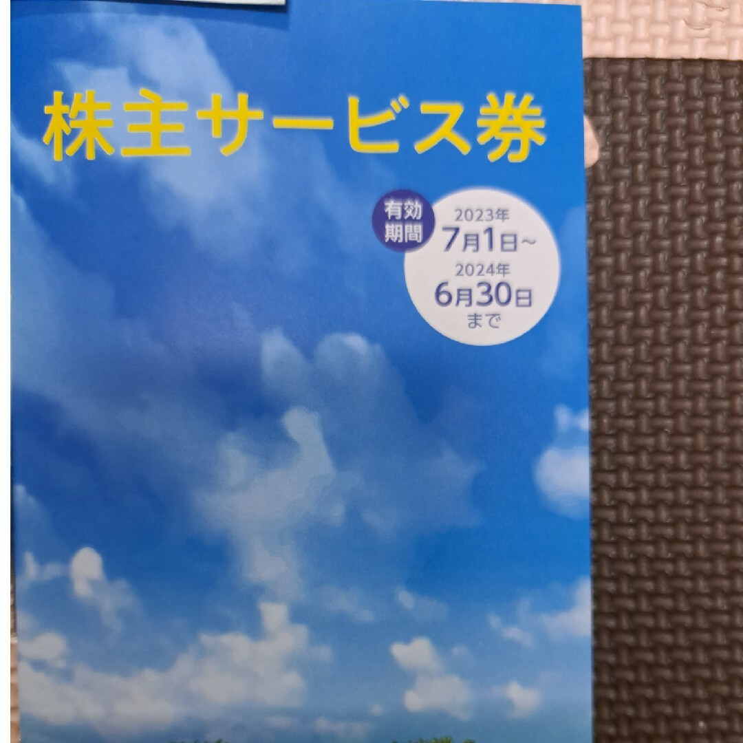 JR 東日本旅客鉄道株式会社 株主優待割引券、株主サービス券 1