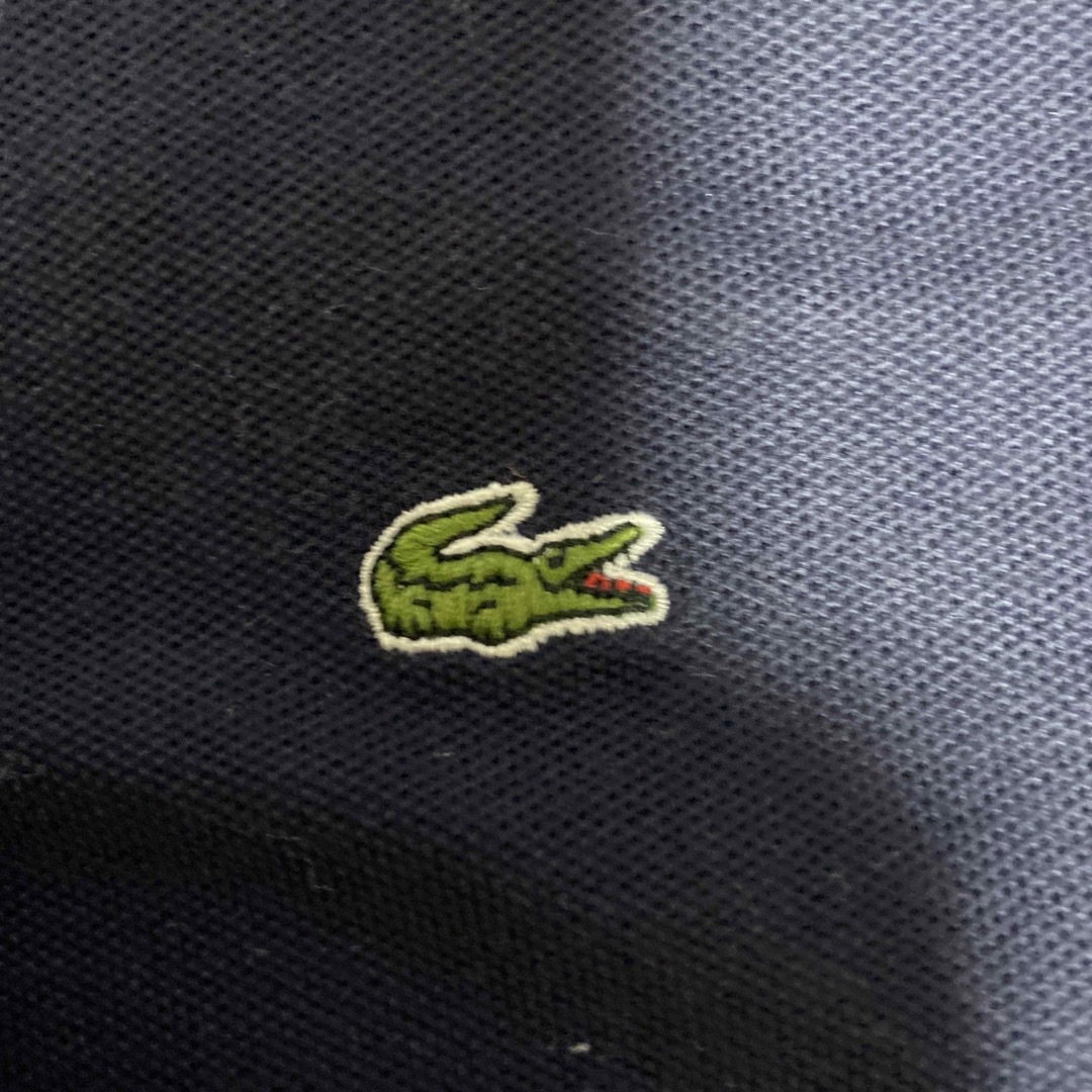 LACOSTE(ラコステ)のLACOSTE ポロシャツ　レディース レディースのトップス(ポロシャツ)の商品写真