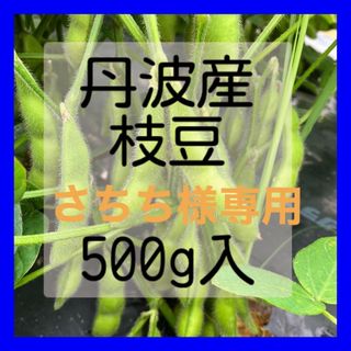 ☆食べ切り☆丹波産　枝豆　500g入‼️(野菜)