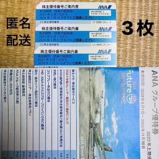 エーエヌエー(ゼンニッポンクウユ)(ANA(全日本空輸))のANA株主優待券3枚️✈️グループ優待券付き✈(その他)