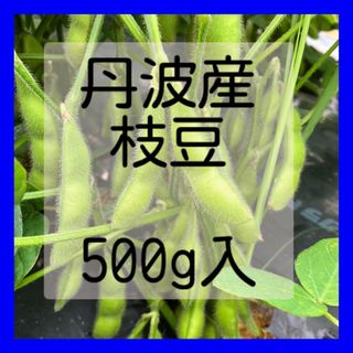 《今年も販売します‼️》丹波産 枝豆 500ｇ入‼️(野菜)