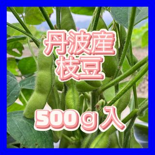 今年も販売！兵庫県産 枝豆(野菜)