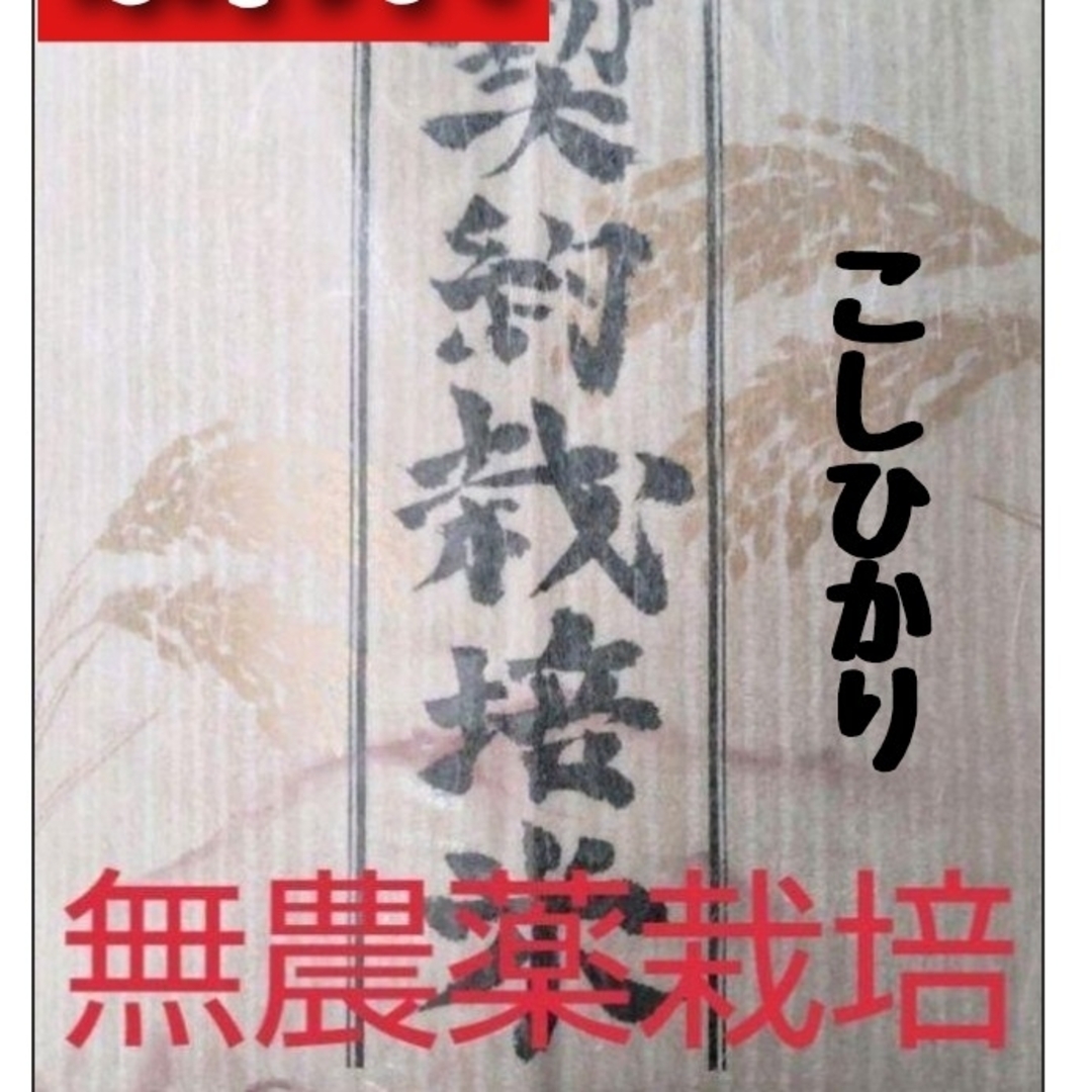 兵庫県丹波産こしひかり玄米10kg✕2袋(令和4年産)　米/穀物