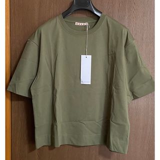 マルニ(Marni)の38新品 MARNI マルニ レディース コットンジャージー Tシャツ カーキ(Tシャツ(半袖/袖なし))