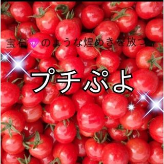 宝石💎のような煌めきを放つプチぷよ2kgパック☆009(野菜)