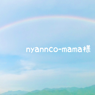 nyannco-mama様専用ページ(その他)