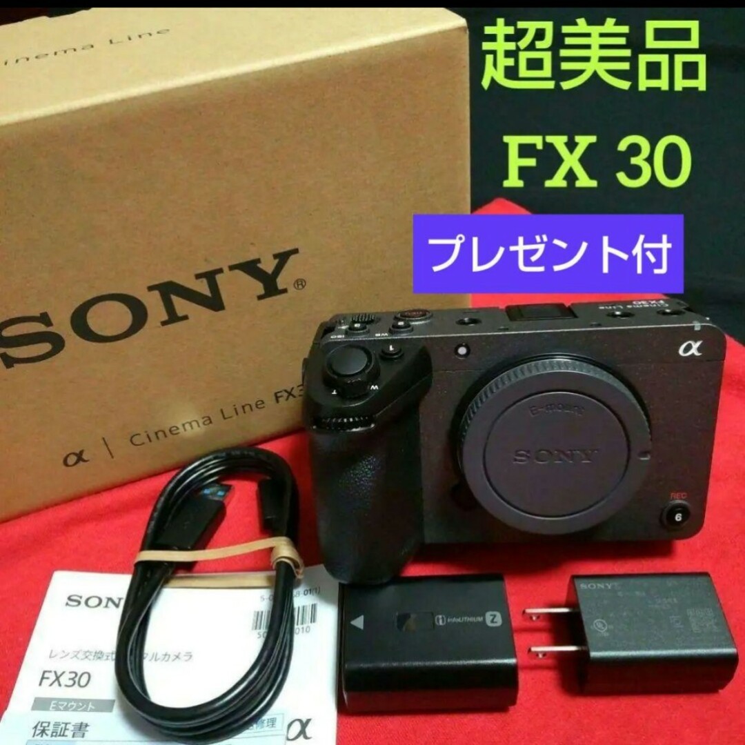 ソニー SONY FX30 ボディ 【極少使用・超美品
