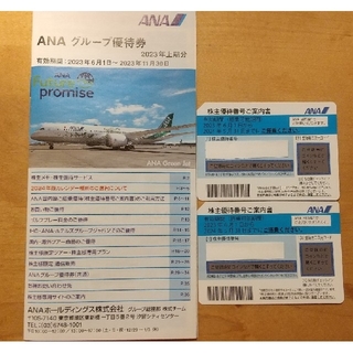 エーエヌエー(ゼンニッポンクウユ)(ANA(全日本空輸))のANA（全日空）株主優待券　2枚(その他)