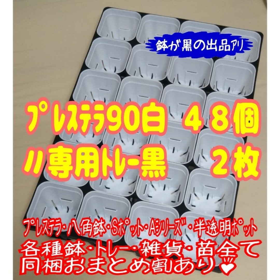 【スリット鉢】プレステラ90白48個＋専用システムトレー黒2枚 プラ鉢 多肉植物 ハンドメイドのフラワー/ガーデン(プランター)の商品写真