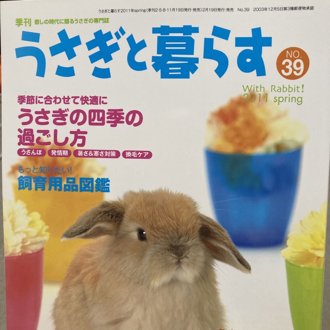 うさぎと暮らす うさぎ 兎 ウサギ 小動物 ネザー ロップ グッズ うさぎと暮らす うさぎ 兎 ウサギ 小動物 ネザー ロップ グッズ