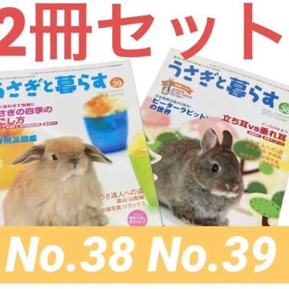 うさぎと暮らす うさぎ 兎 ウサギ 小動物 ネザー ロップ グッズ うさぎと暮らす うさぎ 兎 ウサギ 小動物 ネザー ロップ グッズ