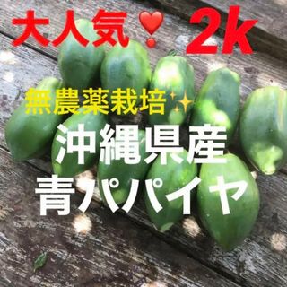 0628②大人気❣️無農薬栽培✨沖縄産青パパイヤ✨箱別2k分✅(野菜)