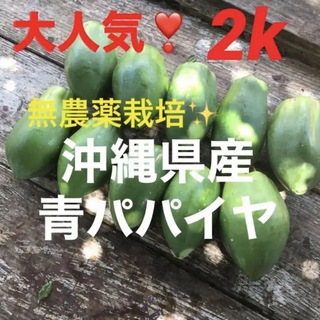 0628②大人気❣️無農薬栽培✨沖縄産青パパイヤ✨箱別2k分✅(野菜)