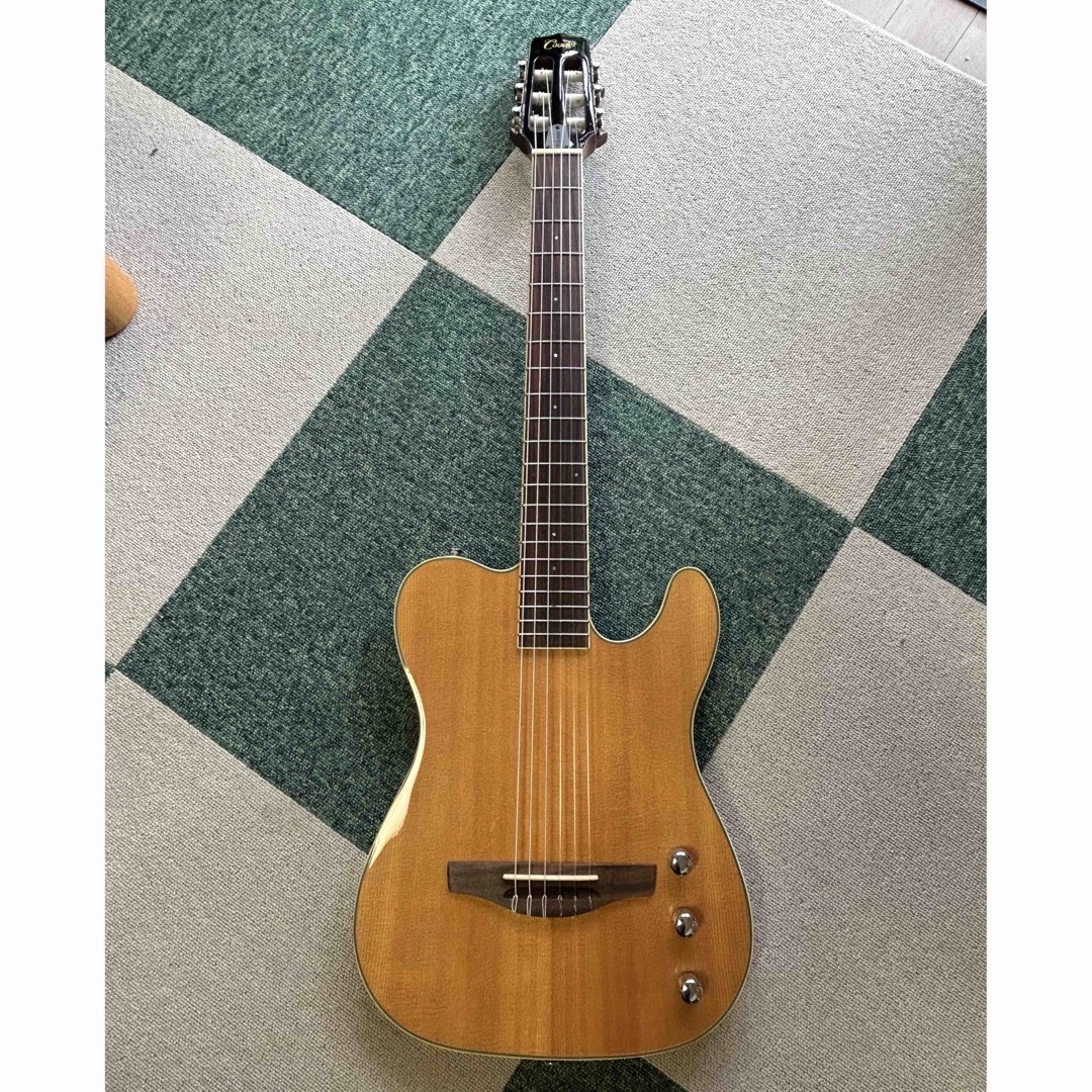 Takamine(タカミネ)のCooder by Takamine TCS-550N エレガットギター 楽器のギター(アコースティックギター)の商品写真