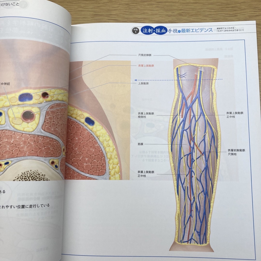 月刊 NURSiNG (ナーシング) 2017年 08月号 エンタメ/ホビーの雑誌(専門誌)の商品写真