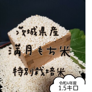 (2-5)　満月もち米　1.5キロ　令和4年産　餅米(米/穀物)