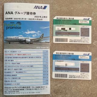 エーエヌエー(ゼンニッポンクウユ)(ANA(全日本空輸))のANA 株主優待(その他)