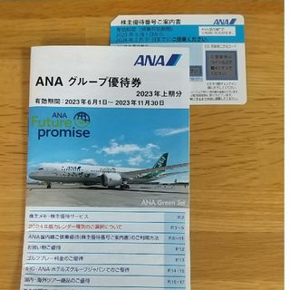 エーエヌエー(ゼンニッポンクウユ)(ANA(全日本空輸))のANA 株主優待券(その他)