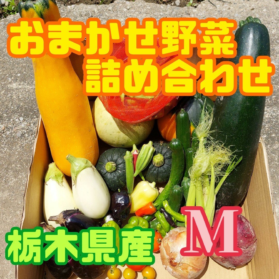 おまかせ野菜詰め合わせBOX【M】 食品/飲料/酒の食品(野菜)の商品写真