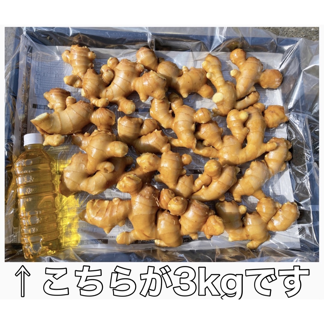 生姜5kg 食品/飲料/酒の食品(野菜)の商品写真