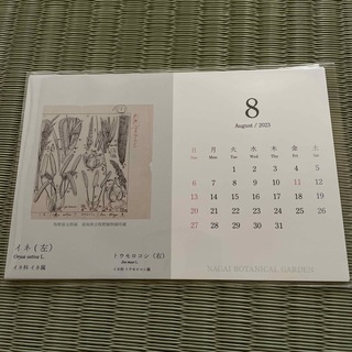 牧野富太郎博士 植物カレンダー(印刷物)