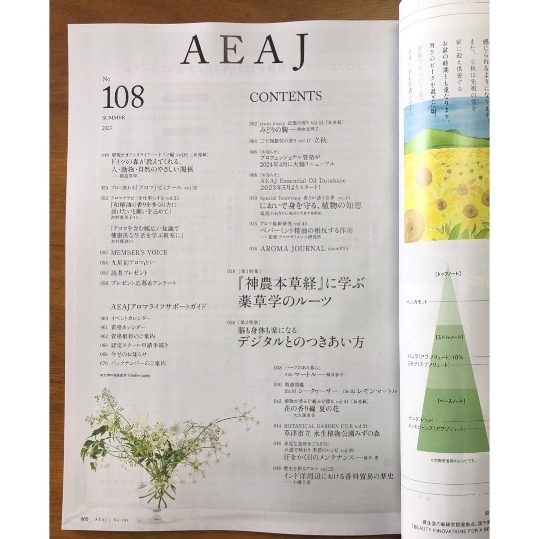 【最新号】 AEAJ機関誌 108号 2023年Summer エンタメ/ホビーの雑誌(生活/健康)の商品写真