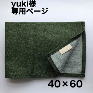 yuki様ご専用＊ランチョンマット 40×60 男の子 小学校 給食 ナフキン(外出用品)