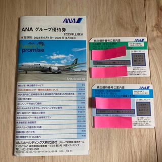 エーエヌエー(ゼンニッポンクウユ)(ANA(全日本空輸))の ANA 株主優待券　2枚(その他)