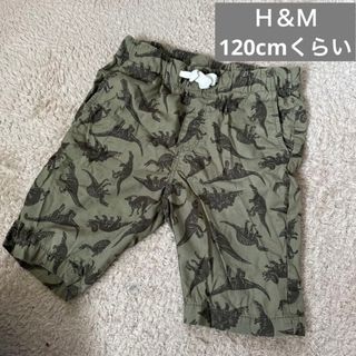 エイチアンドエム(H&M)のＨ＆Ｍ 恐竜 パンツ 120cmくらい(パンツ/スパッツ)